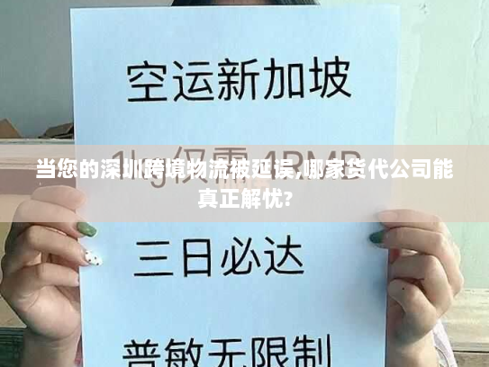 当您的深圳跨境物流被延误,哪家货代公司能真正解忧?