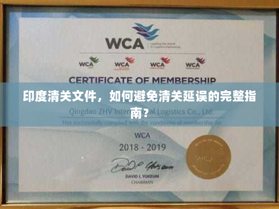 印度清关文件,如何避免清关延误的完整指南? 印度清关文件,如何避免清关延误的完整指南?