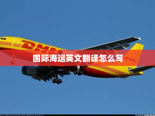 国际海运英文翻译怎么写 国际海运英文翻译怎么写