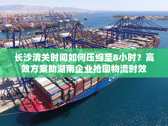 长沙清关时间如何压缩至8小时？高效方案助湖南企业抢回物流时效