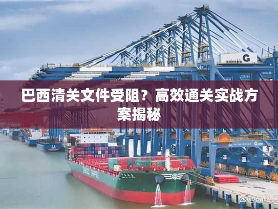 巴西清关文件受阻?高效通关实战方案揭秘 巴西清关文件受阻?高效通关实战方案揭秘