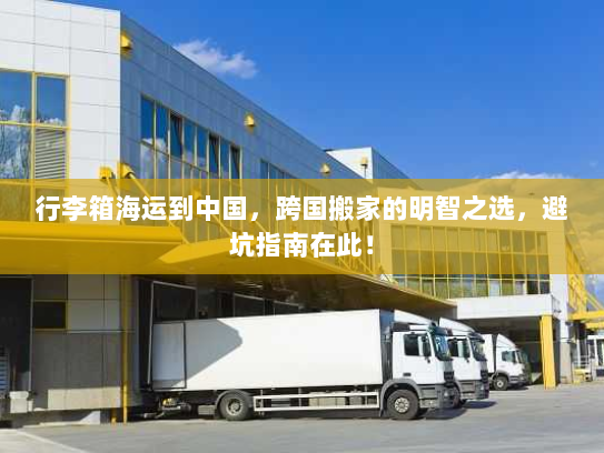 行李箱海运到中国，跨国搬家的明智之选，避坑指南在此！