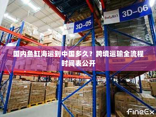 国内鱼缸海运到中国多久?跨境运输全流程时间表公开 国内鱼缸海运到中国多久?跨境运输全流程时间表公开