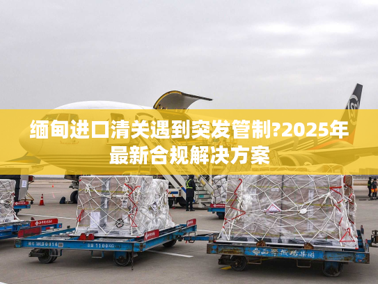 缅甸进口清关遇到突发管制?2025年最新合规解决方案