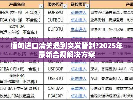 缅甸进口清关遇到突发管制?2025年最新合规解决方案