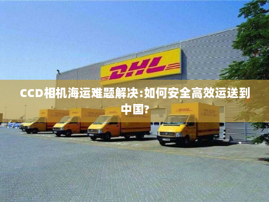 CCD相机海运难题解决:如何安全高效运送到中国?