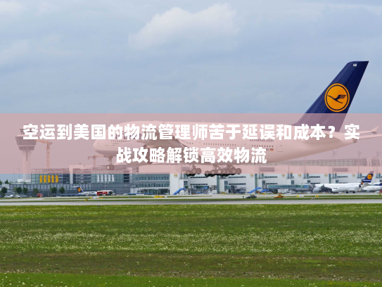 空运到美国的物流管理师苦于延误和成本?实战攻略解锁高效物流 空运到美国的物流管理师苦于延误和成本?实战攻略解锁高效物流