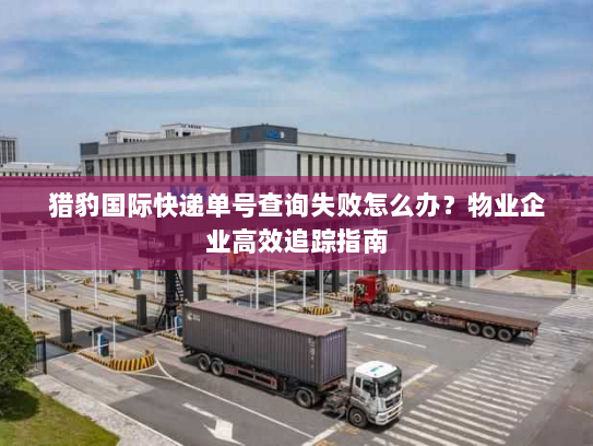 猎豹国际快递单号查询失败怎么办?物业企业高效追踪指南 猎豹国际快递单号查询失败怎么办?物业企业高效追踪指南