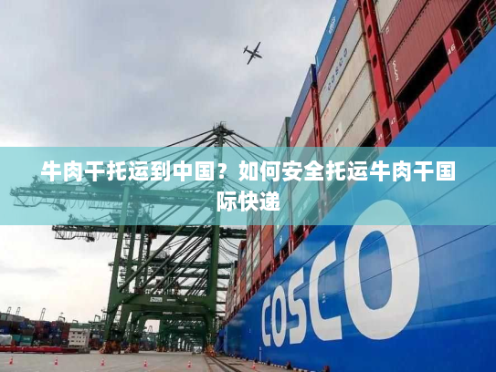 牛肉干托运到中国?如何安全托运牛肉干国际快递 牛肉干托运到中国?如何安全托运牛肉干国际快递