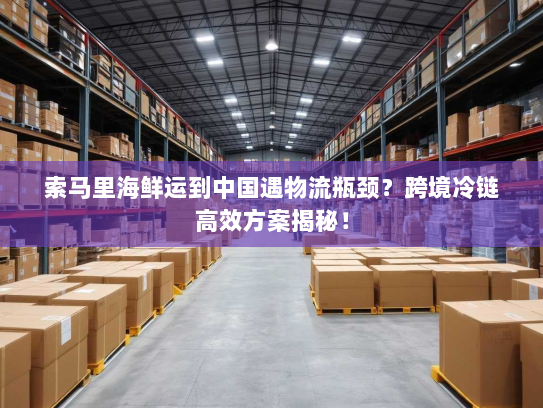 索马里海鲜运到中国遇物流瓶颈？跨境冷链高效方案揭秘！