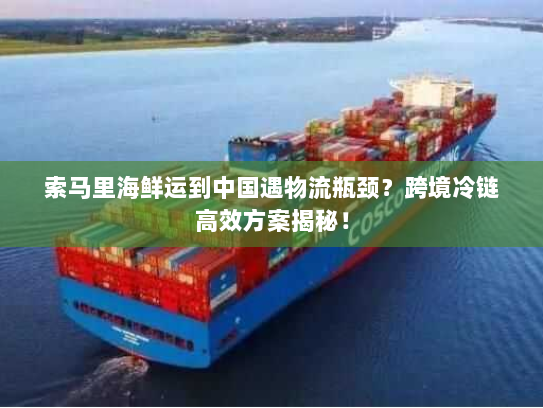 索马里海鲜运到中国遇物流瓶颈？跨境冷链高效方案揭秘！