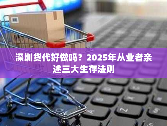深圳货代好做吗？2025年从业者亲述三大生存法则
