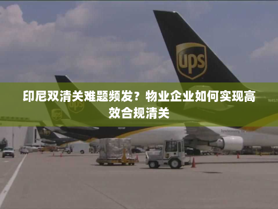 印尼双清关难题频发?物业企业如何实现高效合规清关 印尼双清关难题频发?物业企业如何实现高效合规清关