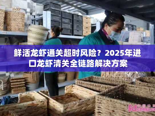 鲜活龙虾通关超时风险？2025年进口龙虾清关全链路解决方案