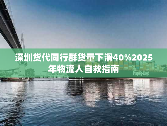 深圳货代同行群货量下滑40%2025年物流人自救指南 深圳货代同行群货量下滑40%2025年物流人自救指南