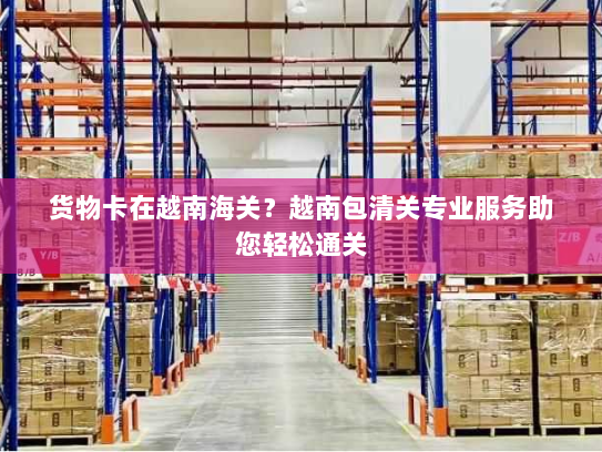 货物卡在越南海关？越南包清关专业服务助您轻松通关