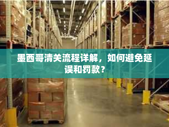 墨西哥清关流程详解，如何避免延误和罚款？