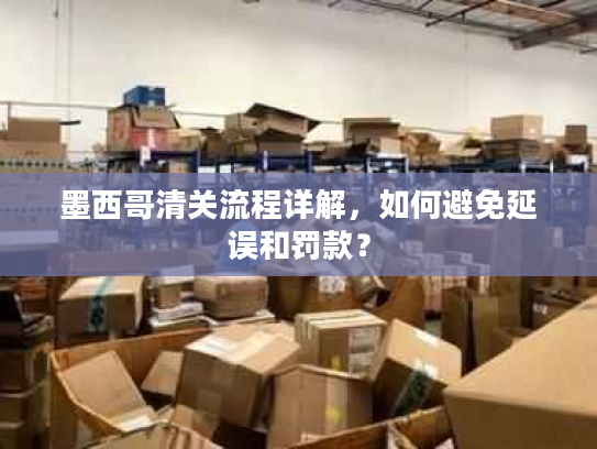 墨西哥清关流程详解，如何避免延误和罚款？