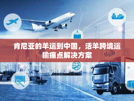 肯尼亚的羊运到中国，活羊跨境运输痛点解决方案