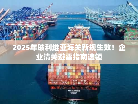 2025年玻利维亚海关新规生效！企业清关避雷指南速领