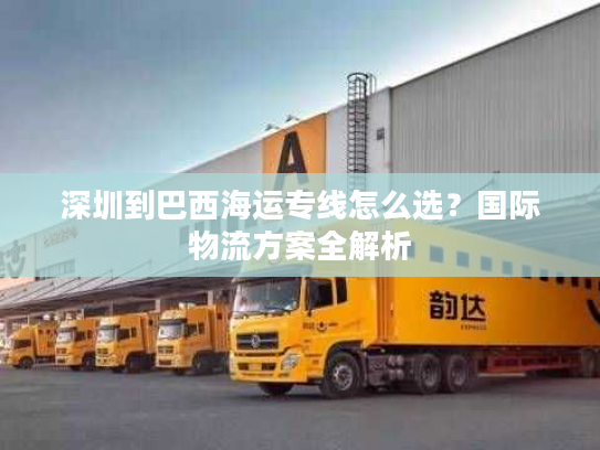 深圳到巴西海运专线怎么选?国际物流方案全解析 深圳到巴西海运专线怎么选?国际物流方案全解析