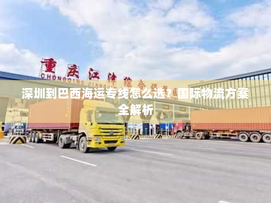 深圳到巴西海运专线怎么选？国际物流方案全解析
