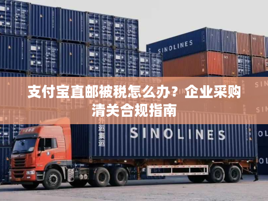 支付宝直邮被税怎么办？企业采购清关合规指南