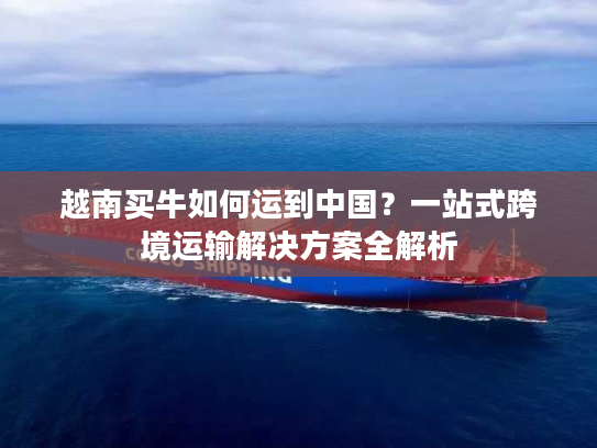 越南买牛如何运到中国?一站式跨境运输解决方案全解析 越南买牛如何运到中国?一站式跨境运输解决方案全解析