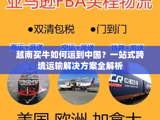 越南买牛如何运到中国?一站式跨境运输解决方案全解析 越南买牛如何运到中国?一站式跨境运输解决方案全解析
