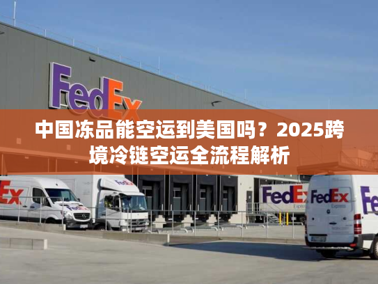 中国冻品能空运到美国吗?2025跨境冷链空运全流程解析 中国冻品能空运到美国吗?2025跨境冷链空运全流程解析