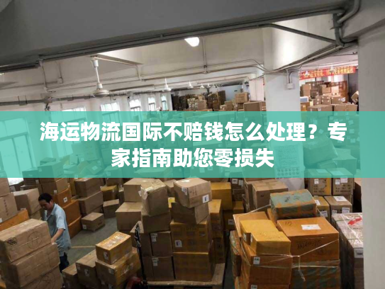 海运物流国际不赔钱怎么处理?专家指南助您零损失 海运物流国际不赔钱怎么处理?专家指南助您零损失