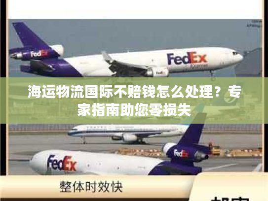 海运物流国际不赔钱怎么处理？专家指南助您零损失