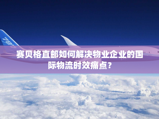 赛贝格直邮如何解决物业企业的国际物流时效痛点？