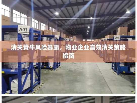 清关黄牛风险暴露,物业企业高效清关策略指南 清关黄牛风险暴露,物业企业高效清关策略指南