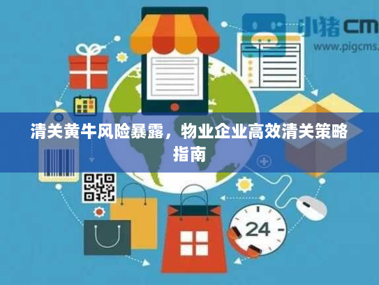 清关黄牛风险暴露,物业企业高效清关策略指南 清关黄牛风险暴露,物业企业高效清关策略指南