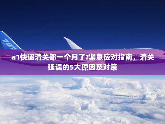 a1快递清关都一个月了?紧急应对指南,清关延误的5大原因及对策 a1快递清关都一个月了?紧急应对指南,清关延误的5大原因及对策