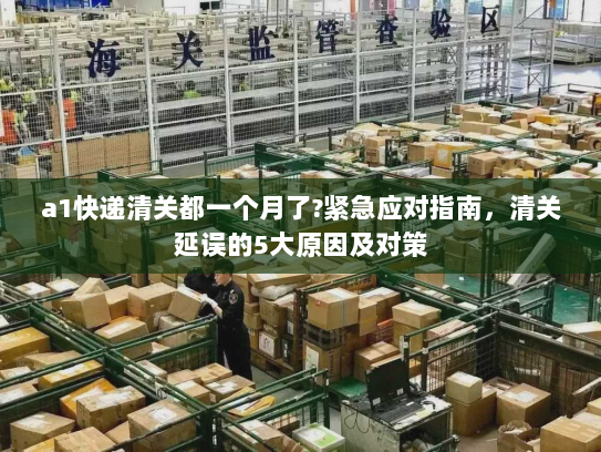 a1快递清关都一个月了?紧急应对指南,清关延误的5大原因及对策 a1快递清关都一个月了?紧急应对指南,清关延误的5大原因及对策