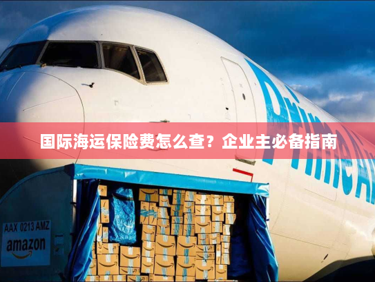 国际海运保险费怎么查?企业主必备指南 国际海运保险费怎么查?企业主必备指南