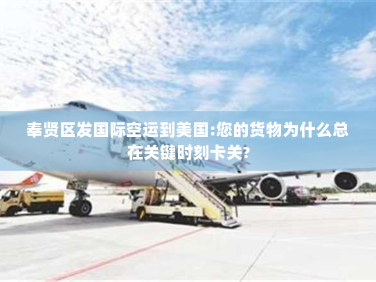 奉贤区发国际空运到美国:您的货物为什么总在关键时刻卡关? 奉贤区发国际空运到美国:您的货物为什么总在关键时刻卡关?