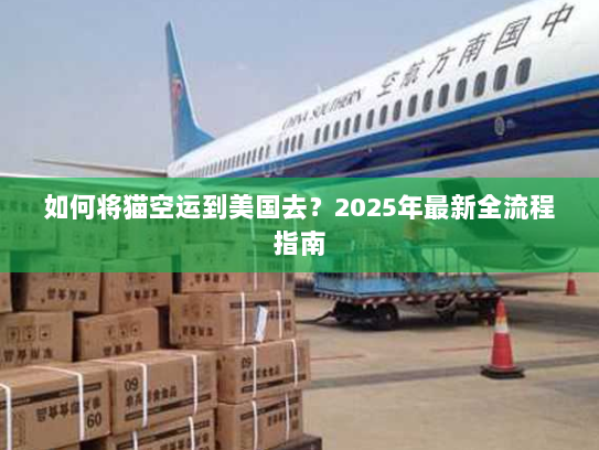如何将猫空运到美国去？2025年最新全流程指南