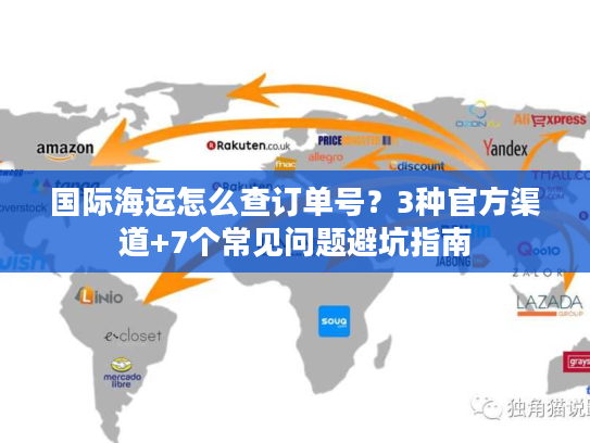 国际海运怎么查订单号?3种官方渠道+7个常见问题避坑指南 国际海运怎么查订单号?3种官方渠道+7个常见问题避坑指南