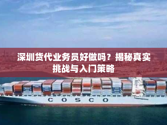 深圳货代业务员好做吗？揭秘真实挑战与入门策略