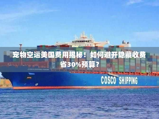 宠物空运美国费用揭秘！如何避开隐藏收费省30%预算？