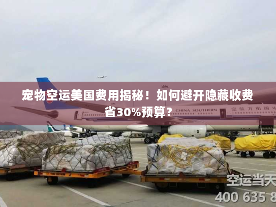 宠物空运美国费用揭秘！如何避开隐藏收费省30%预算？