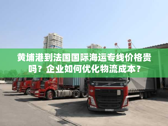 黄埔港到法国国际海运专线价格贵吗?企业如何优化物流成本? 黄埔港到法国国际海运专线价格贵吗?企业如何优化物流成本?