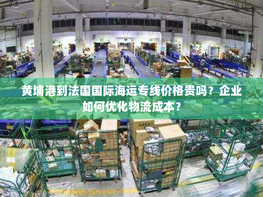 黄埔港到法国国际海运专线价格贵吗？企业如何优化物流成本？