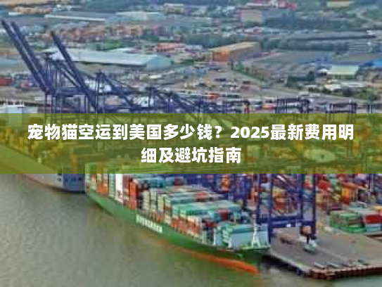 宠物猫空运到美国多少钱?2025最新费用明细及避坑指南 宠物猫空运到美国多少钱?2025最新费用明细及避坑指南