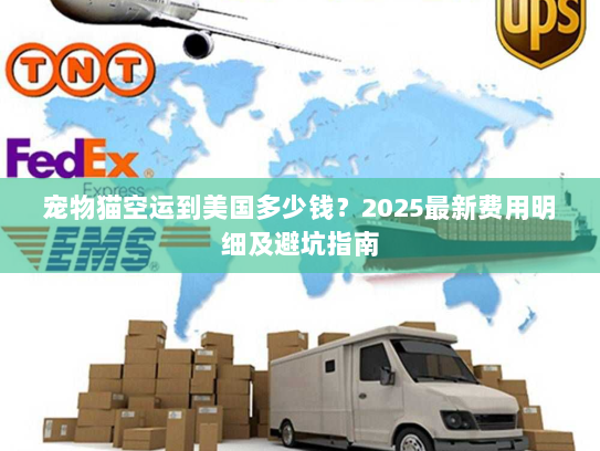 宠物猫空运到美国多少钱?2025最新费用明细及避坑指南 宠物猫空运到美国多少钱?2025最新费用明细及避坑指南