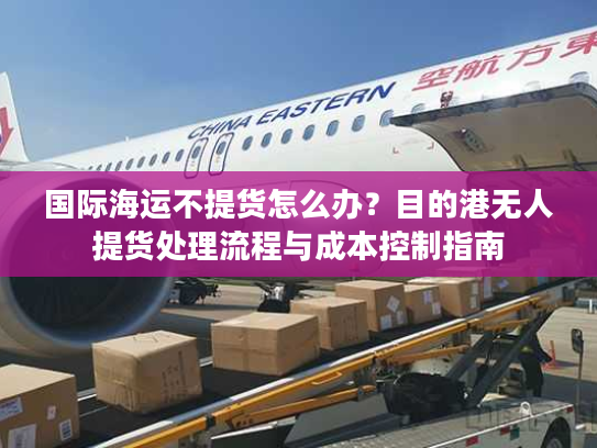 国际海运不提货怎么办?目的港无人提货处理流程与成本控制指南 国际海运不提货怎么办?目的港无人提货处理流程与成本控制指南