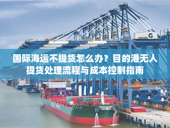 国际海运不提货怎么办?目的港无人提货处理流程与成本控制指南 国际海运不提货怎么办?目的港无人提货处理流程与成本控制指南